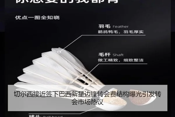 切尔西接近签下巴西新星边锋转会费结构曝光引发转会市场热议